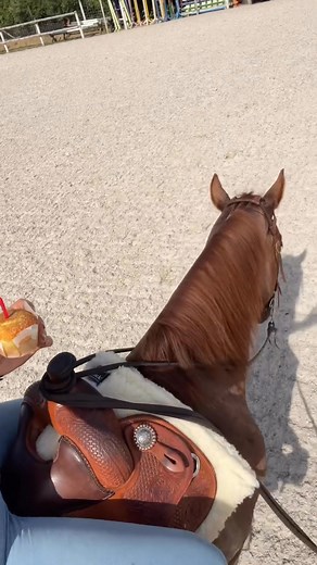 Birthday Sale 🎂 . On June 24th you get a 24% discount with the code Summersale . In keeping with Summers birthday we would like to give you and your horses something 🎁 ---- #lopinonataco #Happybirthday #Cake #summerSale #horsetricks #spin #ltacademy | Me & Warthog