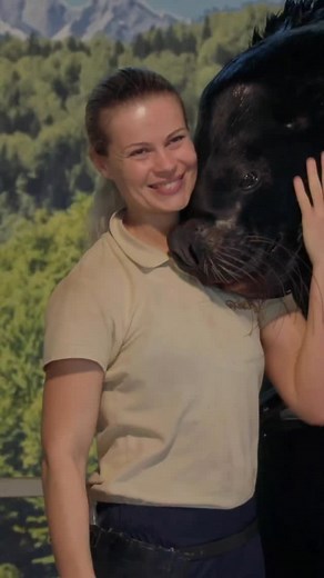 260 reactions · 5 comments | Al Safari Park 女 il colorato universo dei pappagalli 列 e la straordinaria intelligenza dei leoni marini 玲... li puoi vivere da vicinissimo! Con le nostre sessioni didattiche, ogni giorno imparare diventa un’avventura: divertiti a scoprire e conosci per proteggere. Il rispetto per la natura non è mai stato così emozionante 朗 #safaripark #lagomaggiore #pombia #naturaedivertimento | SAFARIPARK | Facebook