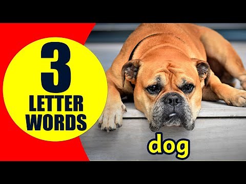 3 Letter Words for Kids - Learn to Read and Spell