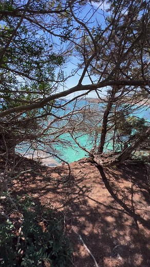 6.2K views · 150 reactions | Happy Saturday! Beach day at…Cala Nova  Follow Ibiza Spotlight for more insider tips and recommendations. #ibiza | Ibiza Spotlight | Facebook