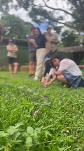 Snakes in the sun with Olive our Olive Python. Fun Fact Friday 🤌🏼 🪴 Pythons are constrictors, they are not venomous. 🦘 Olive Pythons can consume large prey items like small kangaroos and wallaby’s. 👏🏼 Lengths reaching 6m, and can weigh over 60kg. #snakes #olivepython #python #australiansnakes #australiansnakesofinstagram | Rainforestation