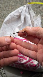 The ultimate worm 🪱 rig! I use this subtler worm rig when the going gets tough, as opposed to the large balls of worms I’ve showed before. The little pole elastic tip is brilliant as it prevents cutting into the worms like floss does, think I saw Spooner or Maker doing this originally, so credit to one of them boys 🤛 | James Armstrong Angler