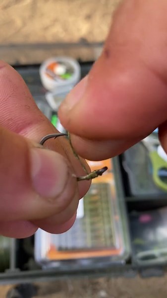 Fishing Techniques for Freshwater and Saltwater Success