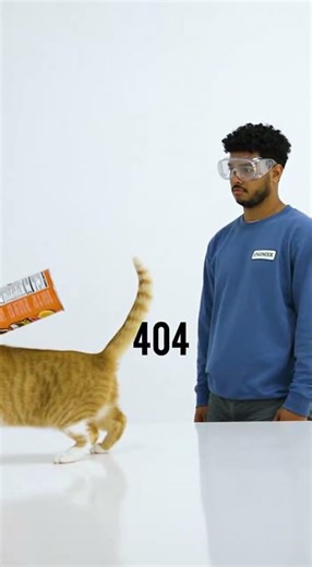 Incident Log #Mix_v26_#9: Total System Failure 🚫🐱 #catcomedy #fail #404 #funnycat