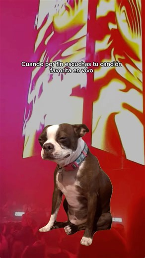 87K views · 5.2K reactions | Playlist: https://li.sten.to/technorave100 | Techno Rave | Facebook