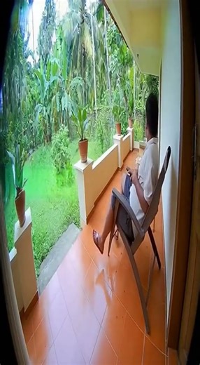 Man Wakes Up to Giant Lizard in His Yard in Sri Lanka! 🦎🌞 #ringdoorbell #caughtoncameravideos