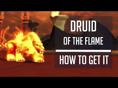 DRUID OF THE FLAME - how to get fire cat form for your druid! #guide #worldofwarcraft #mmorpg