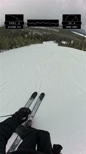 Winter Park - Tweedle Dee 🟦