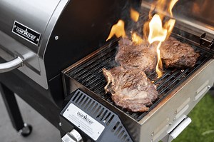 Best Pellet Grills for Searing – Our Top Choices and Buyer’s Guide - Own The Grill