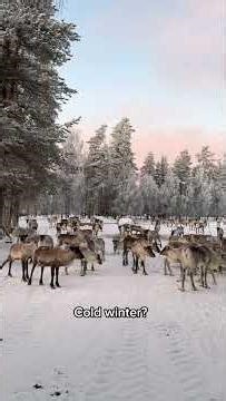 People who get to see the Northern Lights—it’s not really about luck. #helsinkilife #zantour