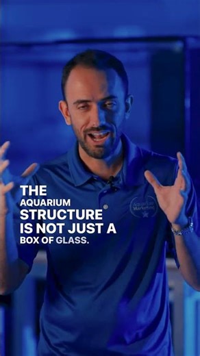🏠 Designing Custom Aquariums #aquariumdesign