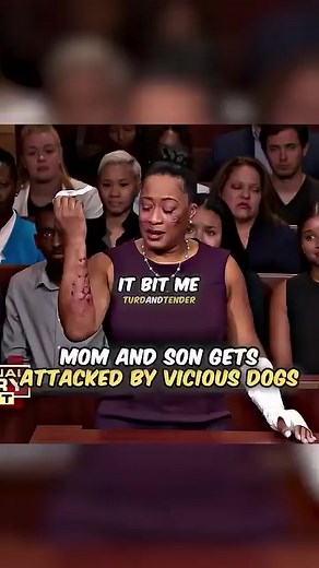 1.1K views | Mother and son gets attacked by viscous dogs #courtroom #judge #court Watch full video in first comment! | I Love Animal Forever | Facebook