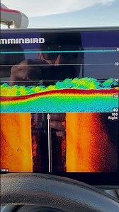 Perfect Settings #hummingbird #graph #fishing