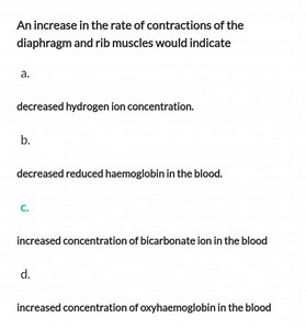 An increase in the rate of contractions of the diaphragm and ri... | Filo