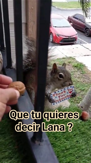 Un error (a bloopers) de Lana 🐿. 🐿👍♥️😃👍↪️🔔😃♥️👋