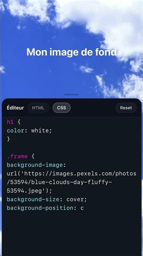 Ajouter une image de fond en CSS sur un conteneur ☀️ #html #css #webdev