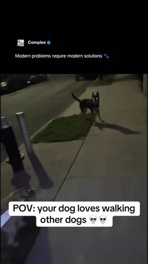 Training your dog to walk your other dog might be the ultimate cheat code in life 😮‍💨 [via/ thenigeriantarzan] | Complex