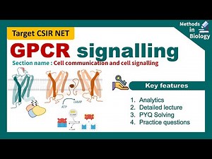 G Protein Coupled Receptor signaling | GPCR signaling pathway | Gs, Gq and Gi signaling | CSIR unit4
