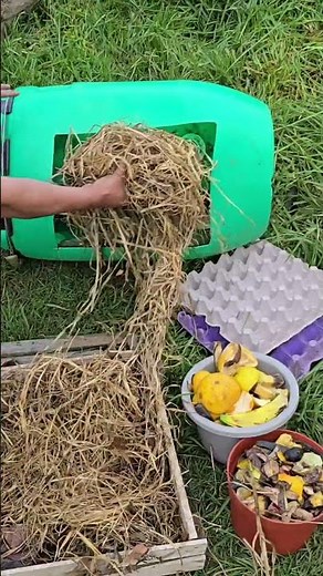 👉 How to easily make compost in a plastic tank | Quick and easy homemade method #plants #agriculture