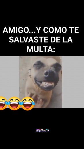 Y así de rápido. | Patzi Fertil