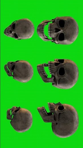 3d skull animation green screen | horror vfx stock footage #greenscreen #skull #animation #vfx