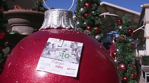 Join Ingles and our partners here in the mountains to support the Ingles Giving Tree. Purchase $5 or $10 icons at your Ingles store and all proceeds will go to Manna Food Bank to feed our neighbors in need. | Ingles Markets