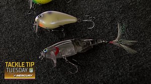 21K views · 975 reactions | In this #TackleTipTuesday video brought to you by Mercury Marine, Bassmaster Elite Series Champion Frank Talley Fishing explains the necessity of throwing Wake Baits in the late fall to early winter period. Fish often stop biting topwater, but are still feeding upwards on baitfish. A Wake Bait helps get it done before they go deep for the winter. #Bassmaster #BASSElite #BassFishing | Bassmaster | Facebook