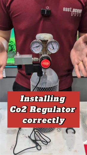 East Ocean Aquatic on Instagram: "CO2 Regulator, something alot of people are always scare of getting them due to it confusing setup. here is a simple how to setup the co2 from scratch. also ANS Pro II regulator advance has been in the market for super long is our best selling regulator and have a 3 year warranty. if you are looking for a regulator, consider this"