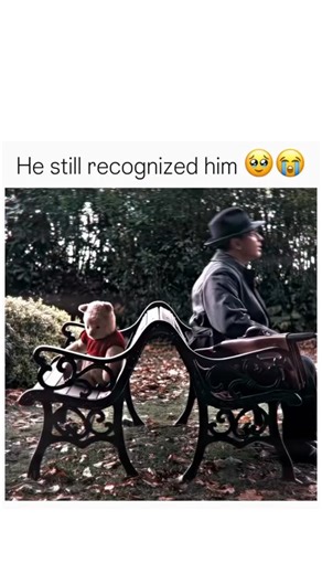 Stock Editz on Instagram: "🎬Christopher Robin (2018) is a live-action Disney film directed by Marc Forster, starring Ewan McGregor as an adult Christopher Robin who rediscovers the Hundred Acre Wood and his childhood friends (Winnie the Pooh, Tigger, Eeyore, etc.) to find joy again, featuring voice work by Jim Cummings (Pooh) and Brad Garrett (Eeyore). It's a heartwarming, sometimes mature, family adventure exploring themes of work-life balance and retaining childlike wonder, earning critical p