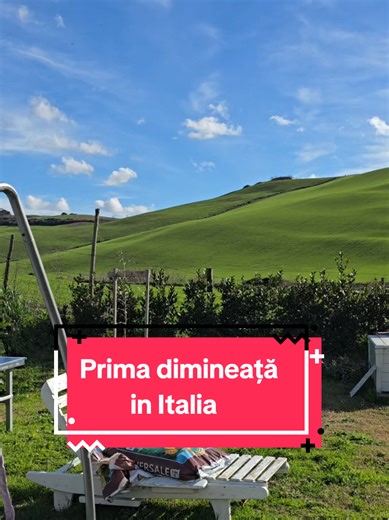 Mama lu'Liam 🇷🇴🇩🇪🇮🇹 (@mama.lu.liam)’s videos with sonido original - Yeudiel