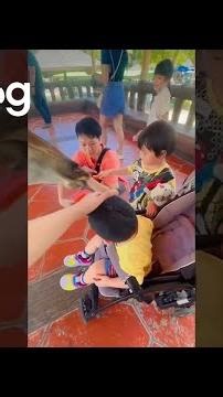 Kids Feed a Friendly Giraffe at the Zoo || ViralHog