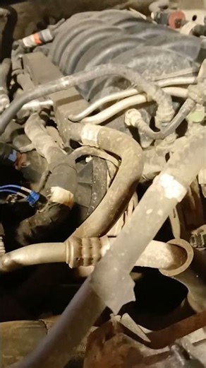 P0011 P0012 Ford F150 5.0 #automobile #fordperformance #fordf150 #mechanic #fordfseries #diy