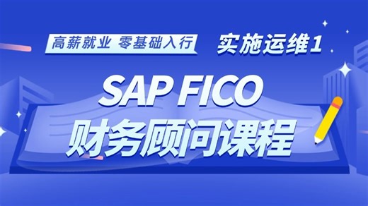 SAP FICO财务实施顾问课程 从入门到精通