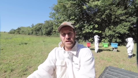 Yellow hive DIY adventure