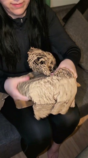 £125 PS2 game came pretty beat up #playstation #nostalgiaplaystation #cex #cexhaul #retrogaming