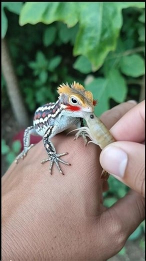 eating shrimp #shorts #shortvideo #viral #children's toys #ai #animals #youtubeshorts #funny #com...