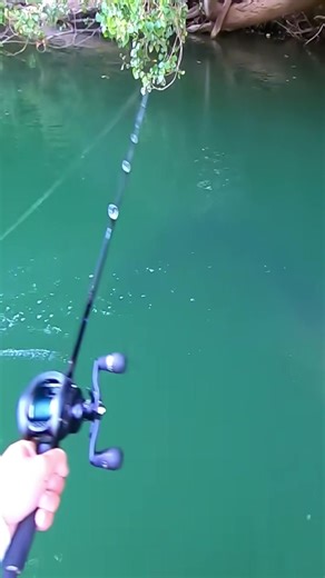 Fishing Adventures on the Amazon River