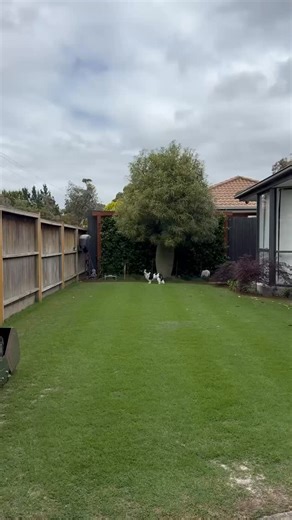 Fresh stripes! 🤪🥳 | Ash Mills