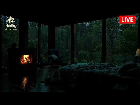 Light Rain in the Forest with Fireplace Ambience for Deep Sleep (Live) 🌧Peaceful Rain for Deep Sleep