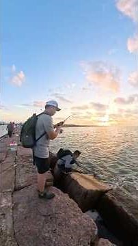 You Won’t Believe This Sheepshead Catch!