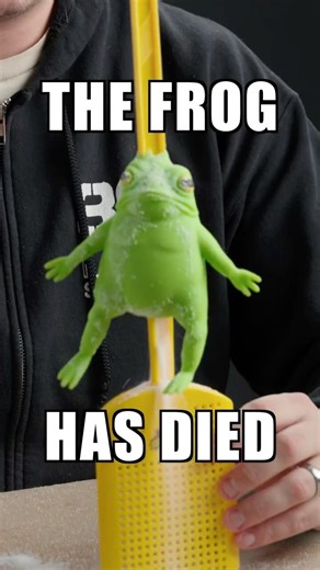 Break This Splat Frog For $$$$