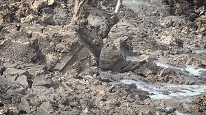 9.4K views · 71 reactions | Learn how a dredging project in Lake Seminole in Pinellas County will help improve water quality. | Southwest Florida Water Management District | Facebook