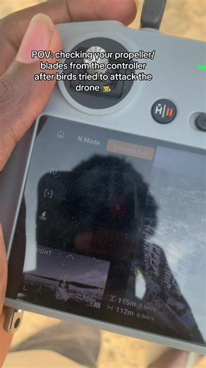 POV: How to Check Your Drone's Propellers After a Bird Attack
