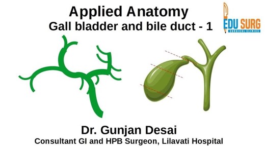 Bile Ducts and Gallbladder Anatomy for Hepatobiliary Surgery | Gunjan Desai posted on the topic | LinkedIn