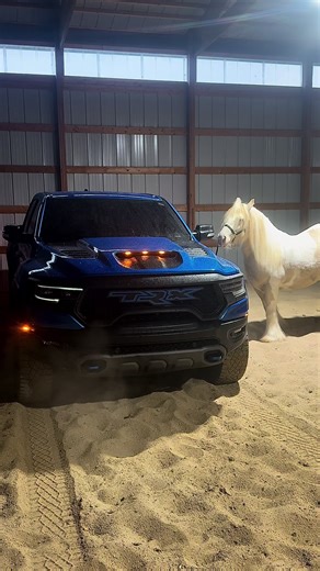 Understanding TRX Training for Horse Riders