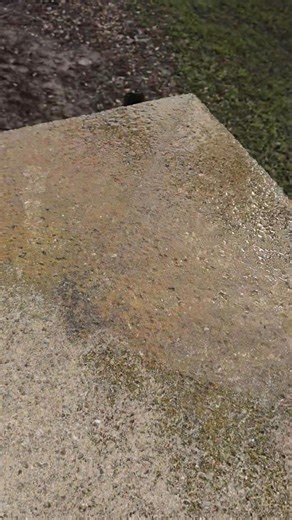 ✨ New Year, Fresh Start! ✨ Compass ProWash & Handyman Services is ready to serve our local community in the new year! 🛠️🏡 We’d love to help with: 🧼 Driveways, sidewalks & house washing 🧹 Roof & lanai cleaning 🔧 Small repairs & handyman projects 🚪 Doors, trim, fixtures & honey-do lists Professional • Reliable • Local 📞 Call or text 941-787-0285 Let’s start the year clean and stress-free! 🎉 | Compass Pro-Wash