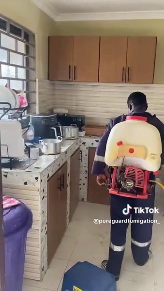 Pureguardfumigation services on TikTok