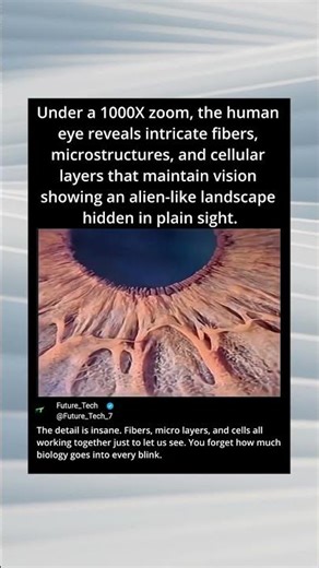 1000x Zoom Reveals an Alien Landscape in Your Eye 👁️#shorts #shortfeed