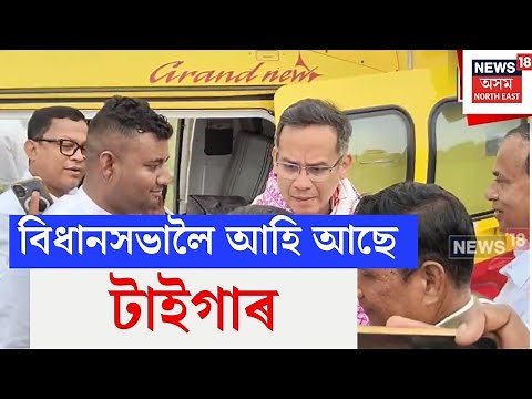 Assam News | বিধানসভালৈ আহি আছে টাইগাৰ। বিধানসভাত শাসক পক্ষৰ বিৰুদ্ধে গৰজি উঠিব টাইগাৰে