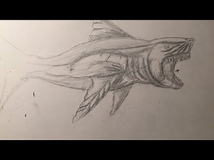 How to draw a MEGALODON